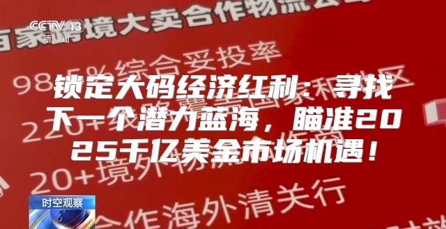 锁定大码经济红利：寻找下一个潜力蓝海，瞄准2025千亿美金市场机遇！