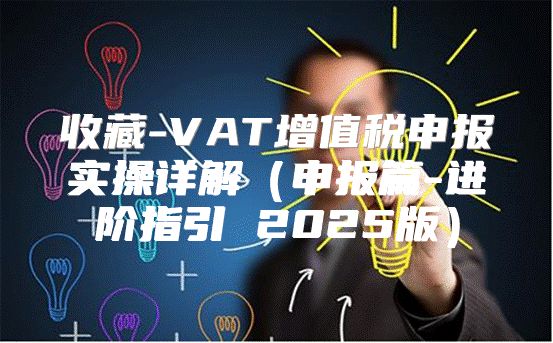 收藏-VAT增值税申报实操详解申报篇-进阶指引 2025版