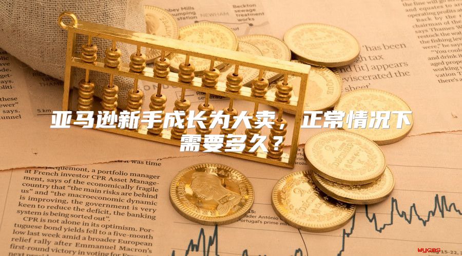 亚马逊新手成长为大卖，正常情况下需要多久？