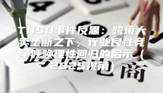 TNSO事件反思：跨境大卖垄断之下，行业良性竞争呼唤理性回归的启示2025视角
