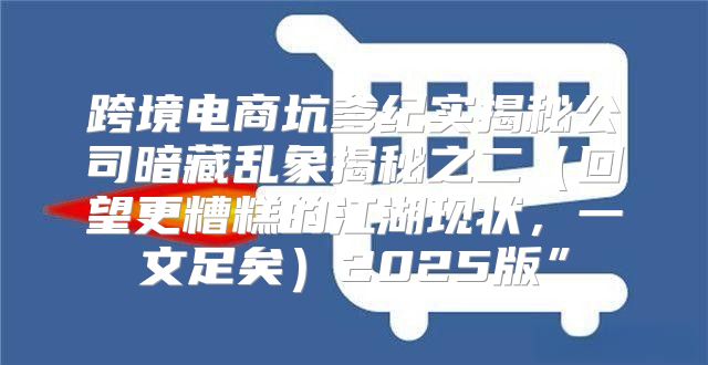 跨境电商坑爹纪实揭秘公司暗藏乱象揭秘之二回望更糟糕的江湖现状，一文足矣2025版”