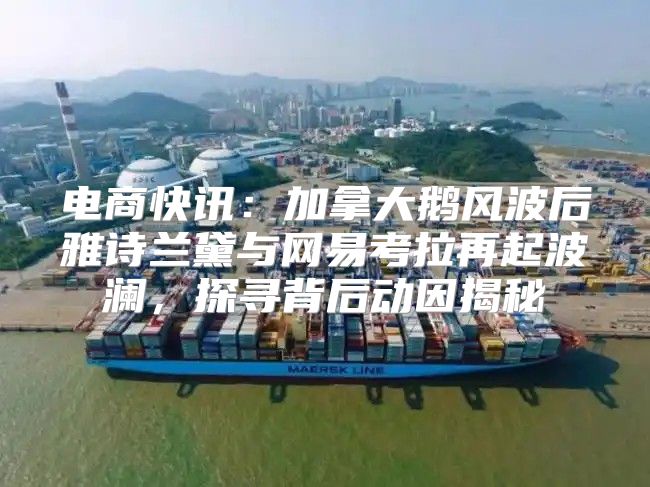 电商快讯：加拿大鹅风波后雅诗兰黛与网易考拉再起波澜，探寻背后动因揭秘