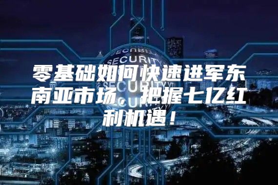 零基础如何快速进军东南亚市场，把握七亿红利机遇！
