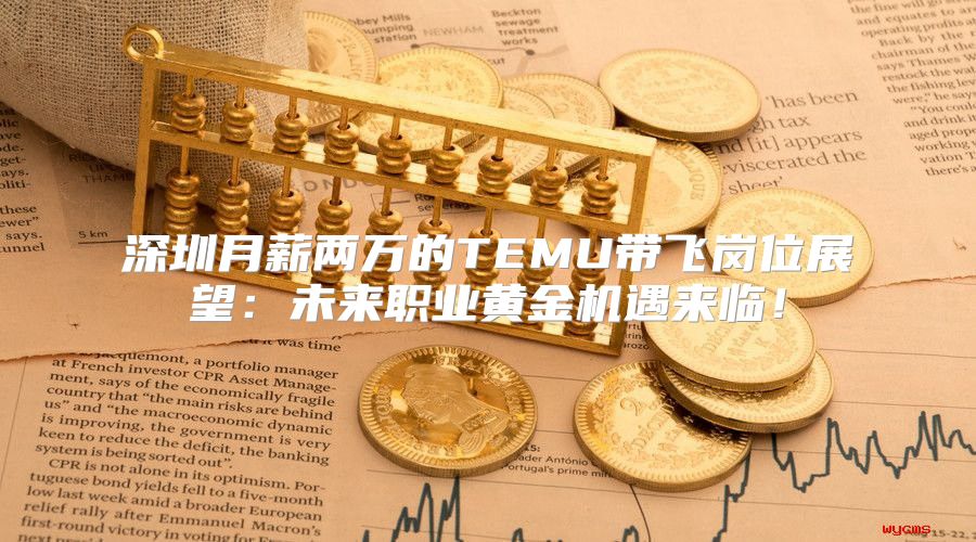 深圳月薪两万的TEMU带飞岗位展望：未来职业黄金机遇来临！