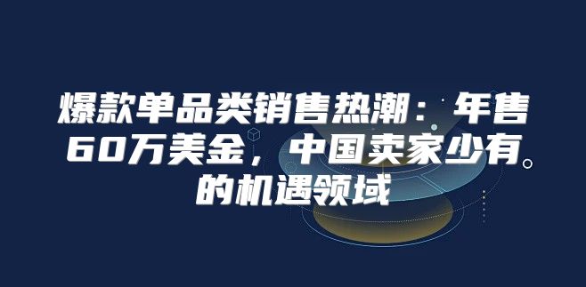爆款单品类销售热潮：年售60万美金，中国卖家少有的机遇领域