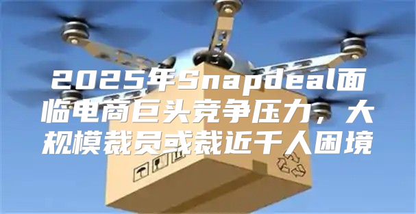 2025年Snapdeal面临电商巨头竞争压力，大规模裁员或裁近千人困境