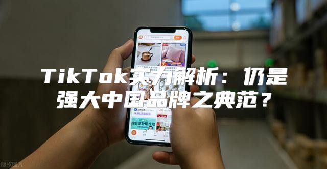 TikTok实力解析：仍是强大中国品牌之典范？