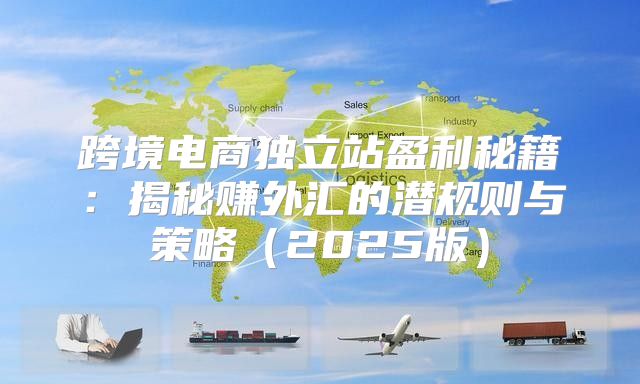 跨境电商独立站盈利秘籍：揭秘赚外汇的潜规则与策略2025版