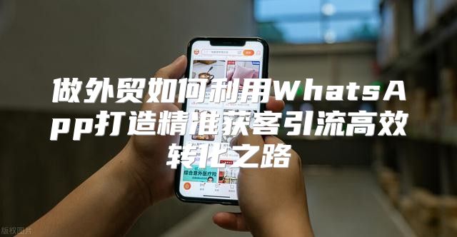 做外贸如何利用WhatsApp打造精准获客引流高效转化之路