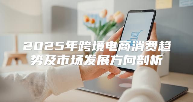 2025年跨境电商消费趋势及市场发展方向剖析