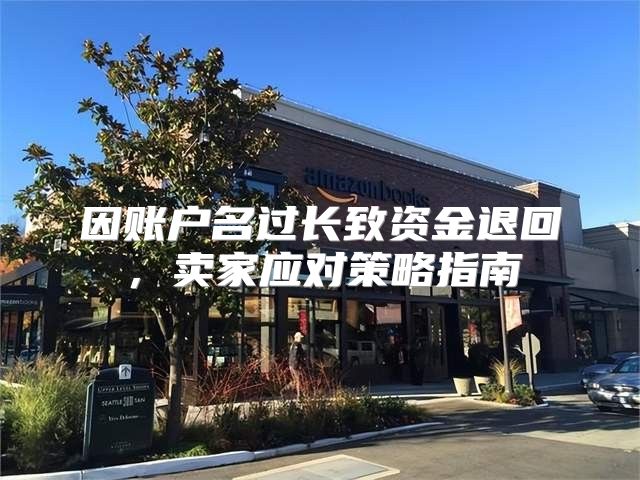 因账户名过长致资金退回，卖家应对策略指南