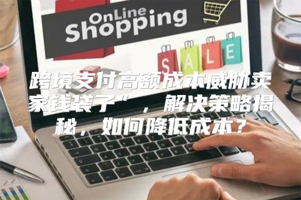 跨境支付高额成本威胁卖家钱袋子”，解决策略揭秘，如何降低成本？