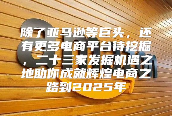 除了亚马逊等巨头，还有更多电商平台待挖掘，二十三家发掘机遇之地助你成就辉煌电商之路到2025年