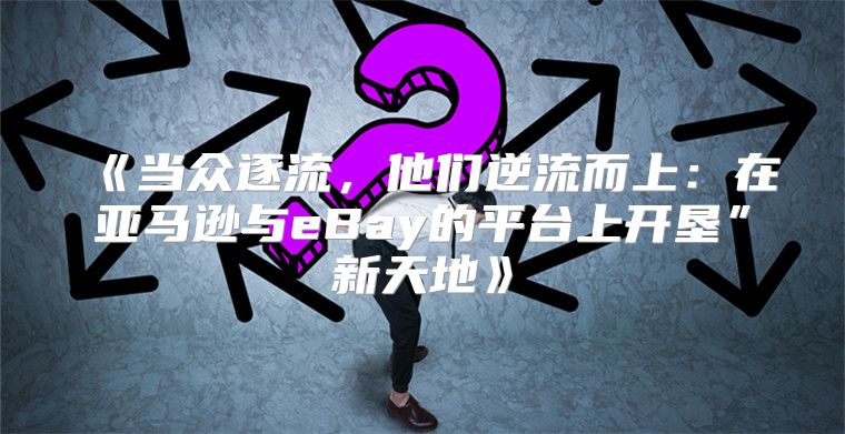 当众逐流，他们逆流而上：在亚马逊与eBay的平台上开垦”新天地