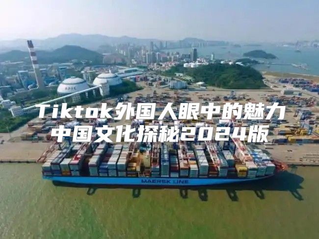 Tiktok外国人眼中的魅力中国文化探秘2025版