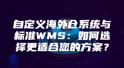 自定义海外仓系统与标准WMS：如何选择更适合您的方案？