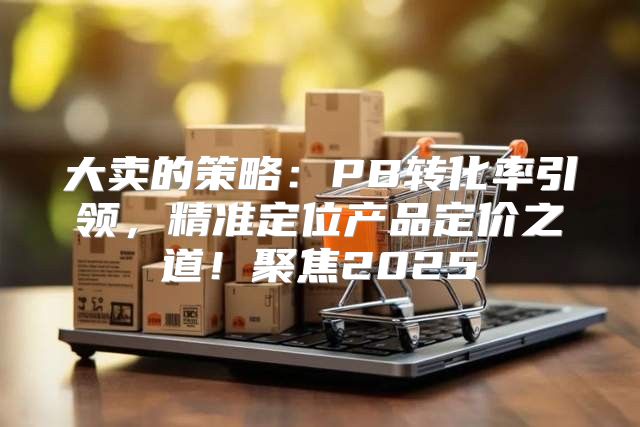 大卖的策略：PB转化率引领，精准定位产品定价之道！聚焦2025
