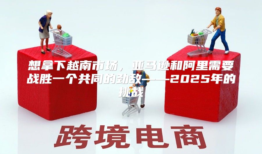想拿下越南市场，亚马逊和阿里需要战胜一个共同的劲敌——2025年的挑战