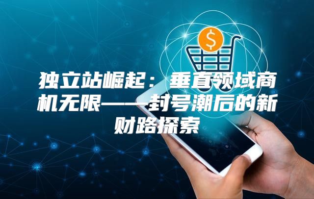 独立站崛起：垂直领域商机无限——封号潮后的新财路探索