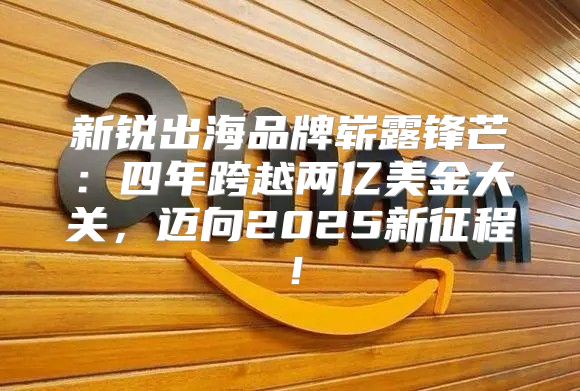 新锐出海品牌崭露锋芒：四年跨越两亿美金大关，迈向2025新征程！