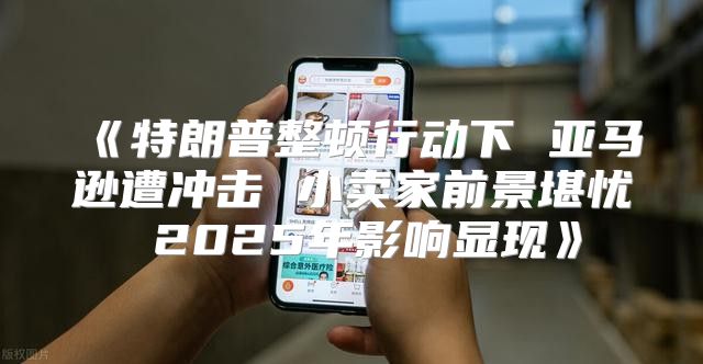 特朗普整顿行动下亚马逊遭冲击小卖家前景堪忧2025年影响显现