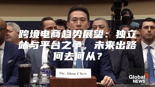跨境电商趋势展望：独立站与平台之争，未来出路何去何从？