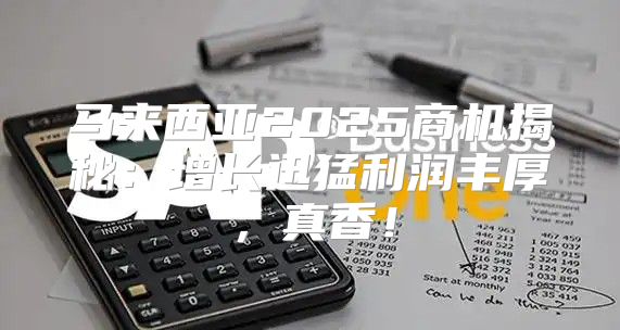 马来西亚2025商机揭秘：增长迅猛利润丰厚，真香！