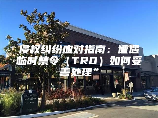 侵权纠纷应对指南：遭遇临时禁令TRO如何妥善处理”