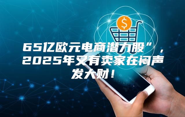 65亿欧元电商潜力股”，2025年又有卖家在闷声发大财！