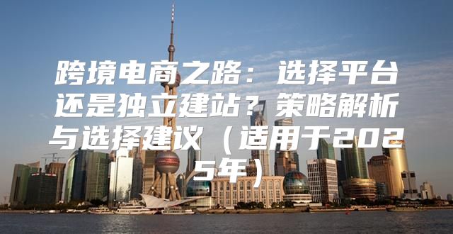 跨境电商之路：选择平台还是独立建站？策略解析与选择建议适用于2025年