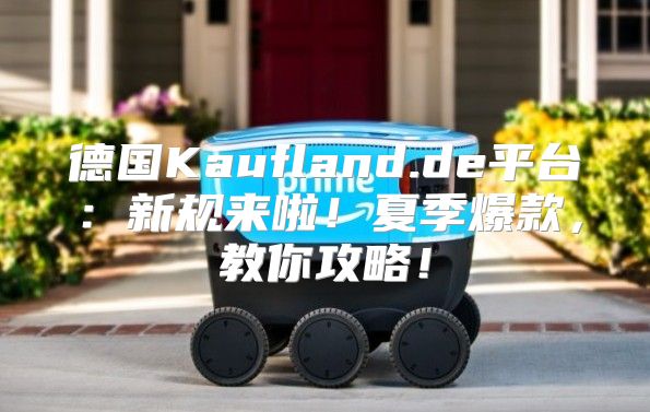 德国Kaufland.de平台：新规来啦！夏季爆款，教你攻略！