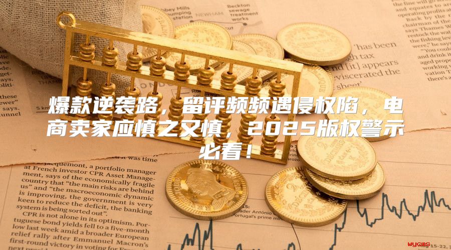 爆款逆袭路，留评频频遇侵权陷，电商卖家应慎之又慎，2025版权警示必看！