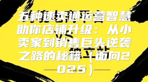 五种速卖通运营智慧助你店铺升级：从小卖家到销售巨头逆袭之路的秘籍面向2025