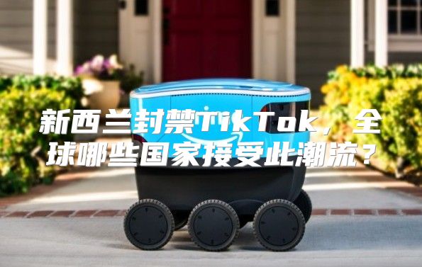 新西兰封禁TikTok，全球哪些国家接受此潮流？