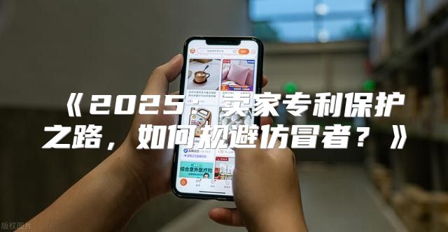 2025卖家专利保护之路，如何规避仿冒者？