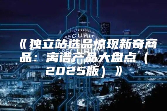 独立站选品惊现新奇商品：离谱产品大盘点2025版