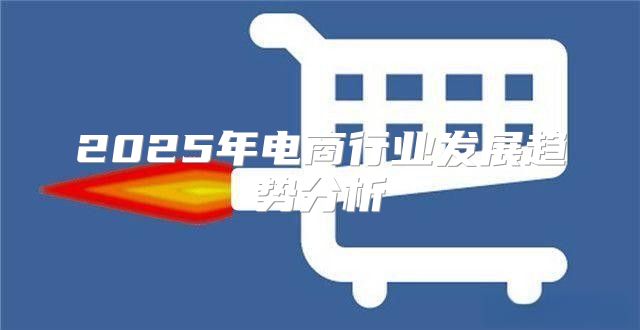 2025年电商行业发展趋势分析
