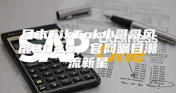 日本TikTok小哥哥风靡2025，官网瞩目潮流新星