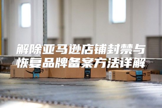 解除亚马逊店铺封禁与恢复品牌备案方法详解