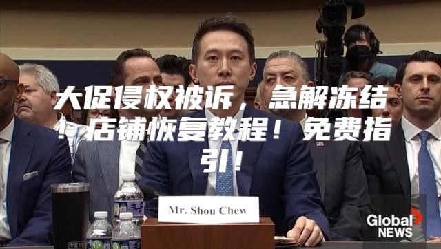 大促侵权被诉，急解冻结！店铺恢复教程！免费指引！