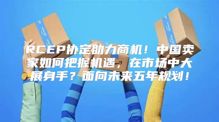 RCEP协定助力商机！中国卖家如何把握机遇，在市场中大展身手？面向未来五年规划！