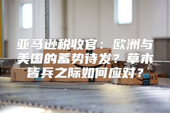 亚马逊税收官：欧洲与美国的蓄势待发？草木皆兵之际如何应对？