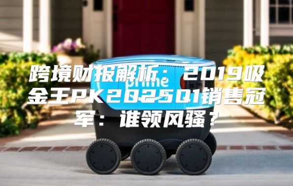 跨境财报解析：2019吸金王PK2025Q1销售冠军：谁领风骚？