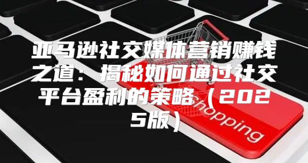 亚马逊社交媒体营销赚钱之道：揭秘如何通过社交平台盈利的策略2025版