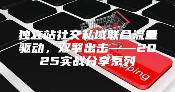 独立站社交私域联合流量驱动，双擎出击——2025实战分享系列④