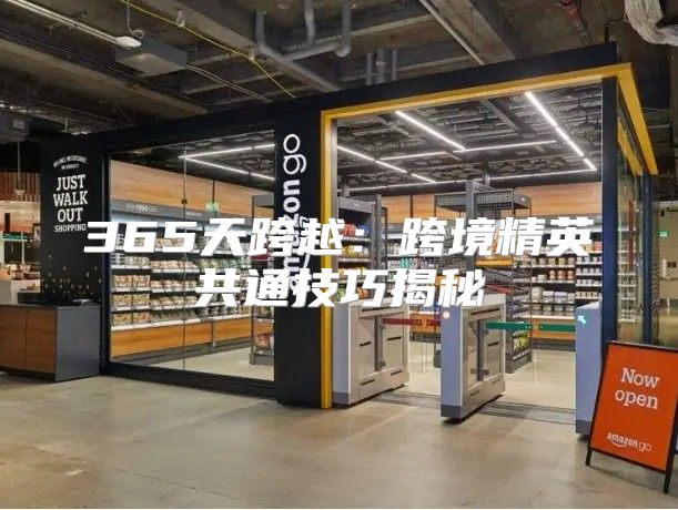 365天跨越：跨境精英共通技巧揭秘