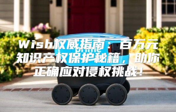 Wish权威指南：百万元知识产权保护秘籍，助你正确应对侵权挑战！