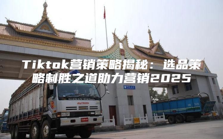 Tiktok营销策略揭秘：选品策略制胜之道助力营销2025