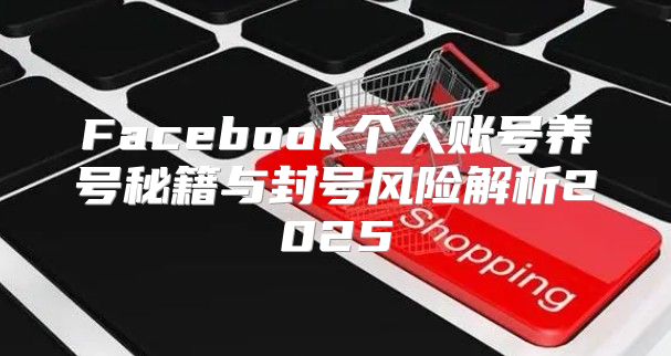 Facebook个人账号养号秘籍与封号风险解析2025