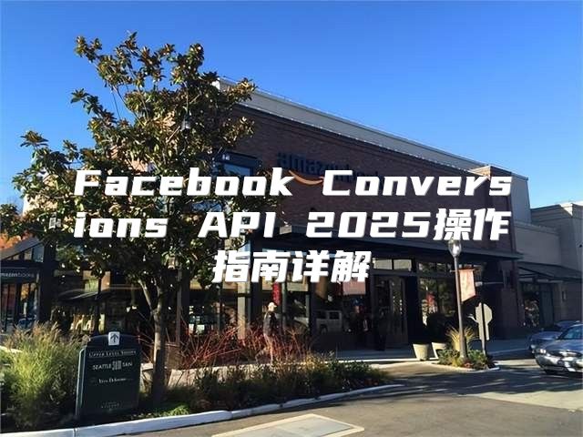 Facebook Conversions API 2025操作指南详解